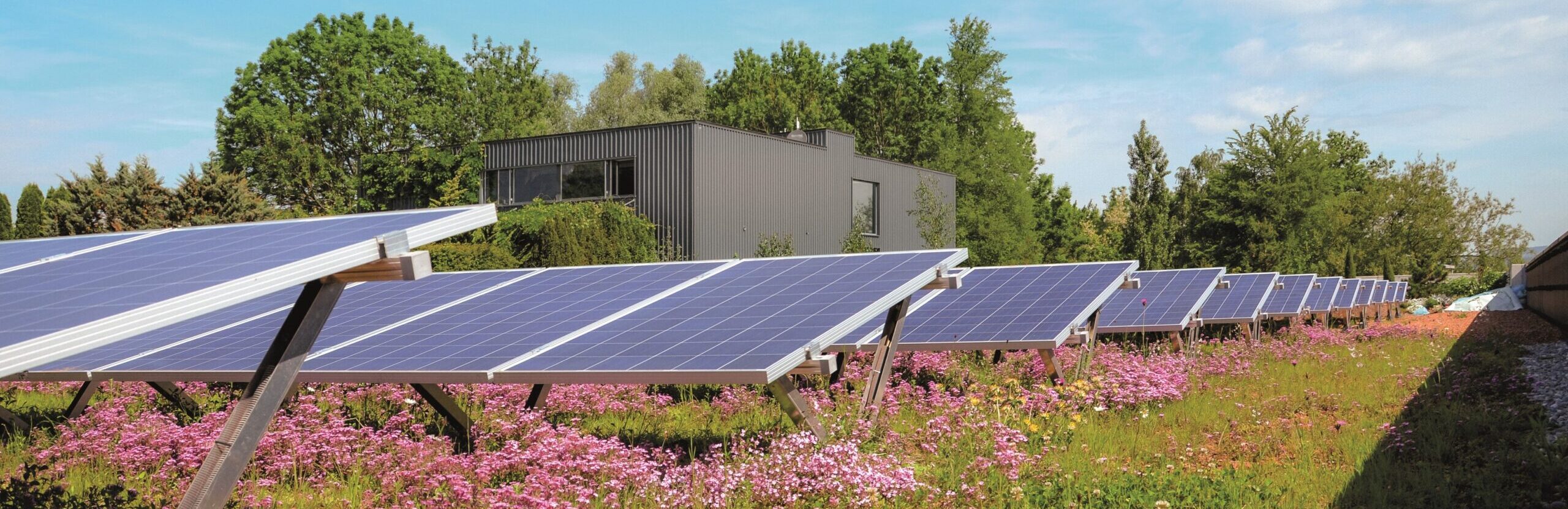 solar-green-roof